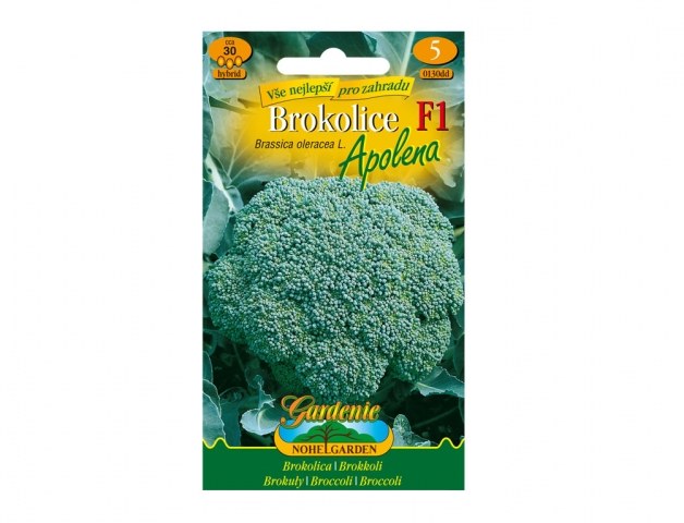 Semínka brokolice APOLENA F1 hybrid - Zahrada Semínka, klíčky Semínka