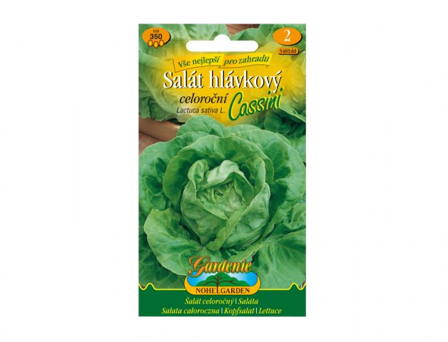 Semínka salát hlávkový celoroční CASSINI - Zahrada Semínka, klíčky Semínka