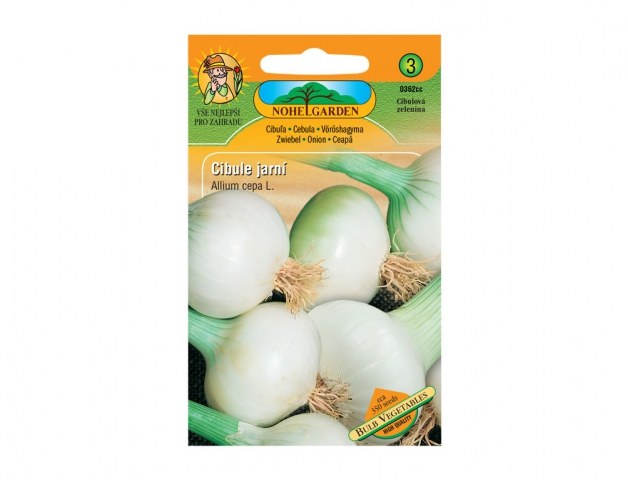 Semínka cibule jarní bílá - Zahrada Semínka, klíčky Semínka