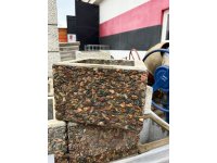 Výprodej - tvarovka sloupová 30x30x20 IV.vymývaná TAMBORA pal.nevratná 228756