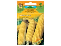 Semínka kukuřice cukrová 1352cc