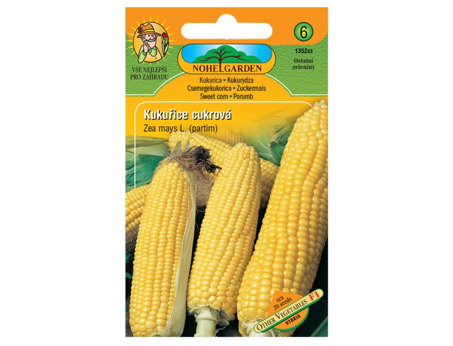 Semínka kukuřice cukrová 1352cc Semínka kukuřice cukrová 1352cc